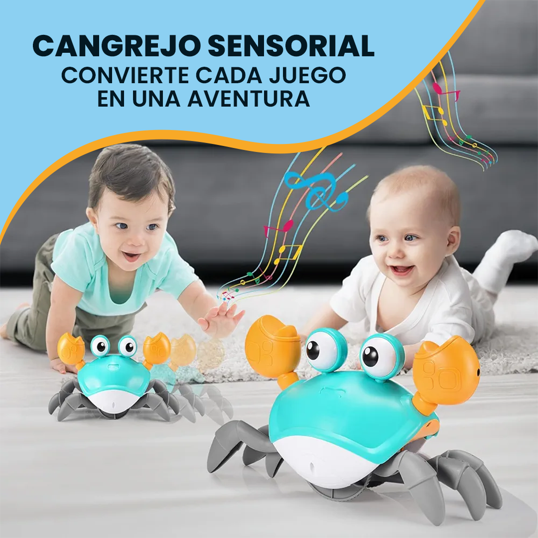 Cangrejito Sensorial