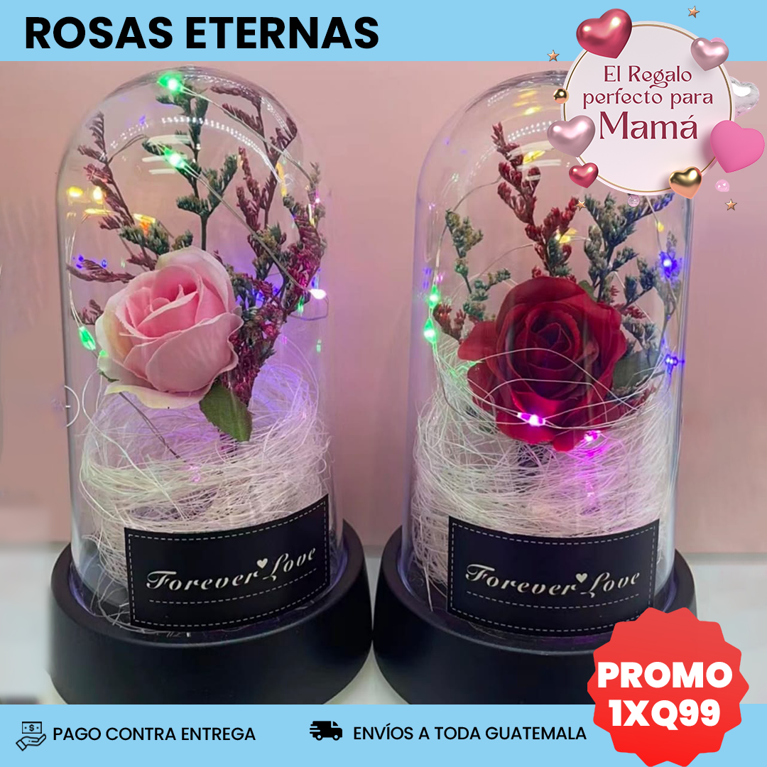 Rosas Eternas - El Regalo Perfecto Para Mamá