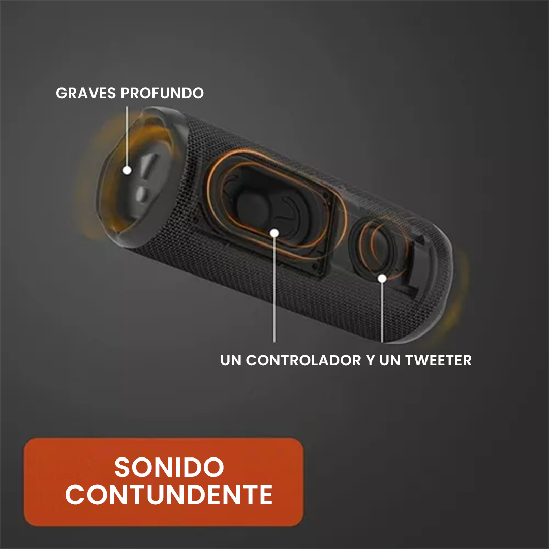 Bocina JBL FLIP 6