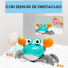 Cangrejito Sensorial