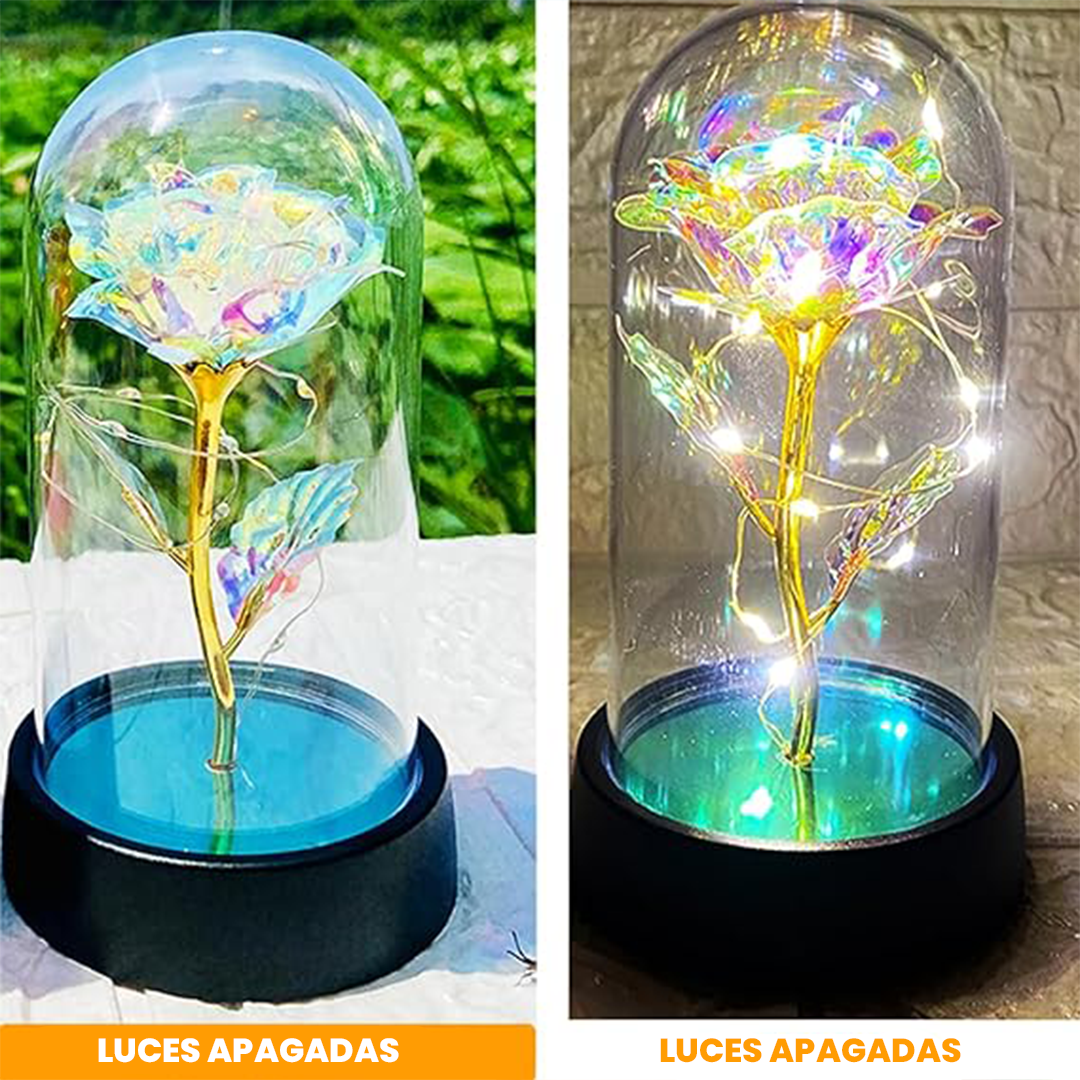 Rosas Encapsuladas E Iluminadas