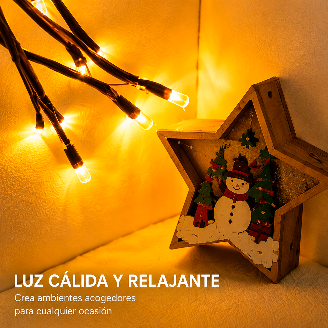 Rama con Luces LED